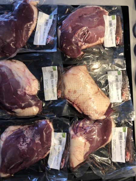 Emilia, Zielona Góra Emilia, Zielona Góra